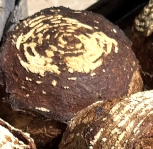 Hogaza de masa madre con greñado en espiral recién horneada en Toluca