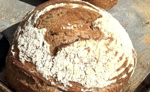 Hogaza redonda de masa madre enharinada, recién del horno